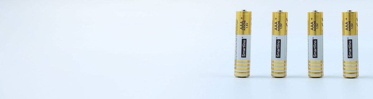 Alkaline Batteries